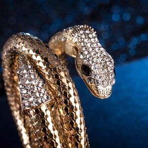 Beautiful Snake Bracelet! Available in Yellow or White Gold, Surgical Steel.